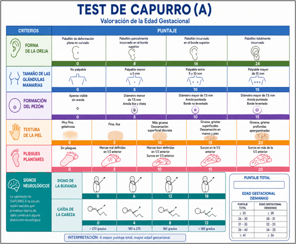 Escala de Apgar